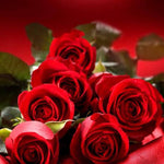 Rose de soie rouge Delphinium