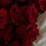 Rose de soie rouge Delphinium